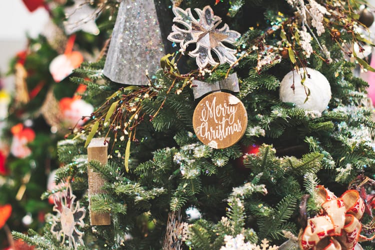 5 Can’t Miss Holiday Events in Greenville, South Carolina